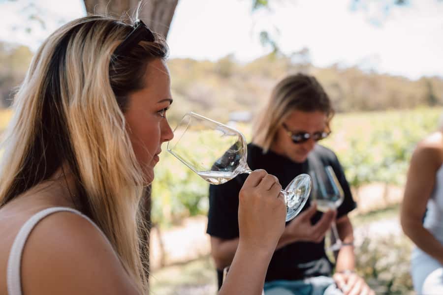 Margaret River: Boutique Wine Tour w. Blind Tasting + Lunch - A scenic vineyard, wine, and cheese