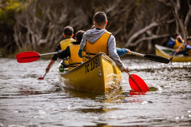 Margaret River Canoe Tour Including Australian Wild Food Lunch - Key points before you book
