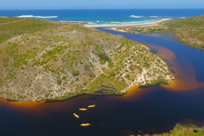 Margaret River Canoe Tour Including Australian Wild Food Lunch - How much work is the canoeing?