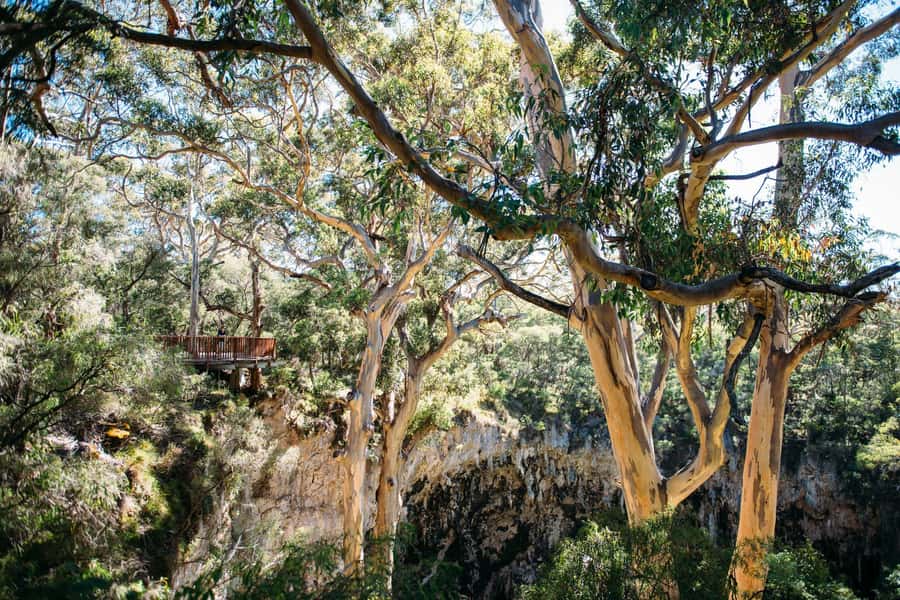 Margaret River: Lake Cave Fully-Guided Tour - The suspended table above the lake