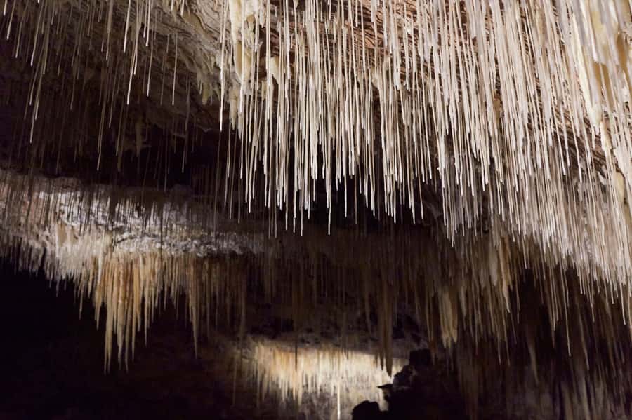 Margaret River: Lake Cave Fully-Guided Tour - The climb back up and the practical tradeoff