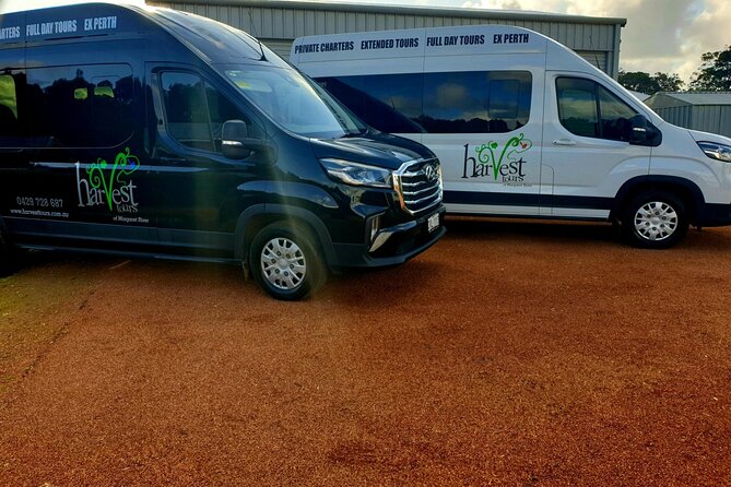 Margaret River Small-Group Full-Day Wine & Food Tour - Chocolate and olive-oil skincare for an afternoon reset