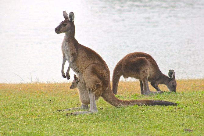 Margaret River Wine and Sights Discovery Tour from Busselton or Dunsborough - Chocolate, olive oil, and more than wine