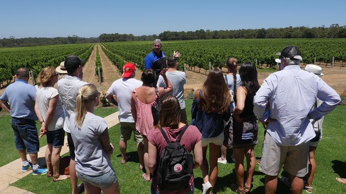 Margaret River Wine Tour: The Full Bottle - Why this tour works for a first Margaret River visit