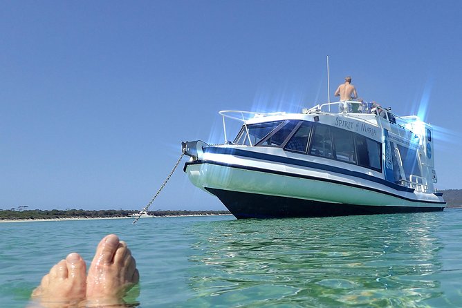 Maria Island Cruise and Guided Walk Day Tour with Lunch and Drinks - Why this tour works better than a simple island ferry