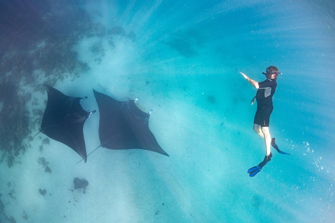 Marine Eco Safari - Swim with Manta Rays - Starting early in Coral Bay at 8 am