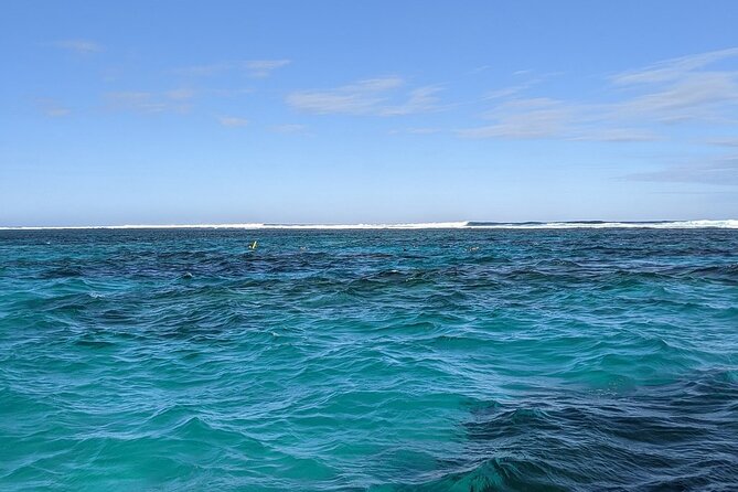 Marine Eco Safari - Swim with Manta Rays - A wildlife day that can go beyond manta rays