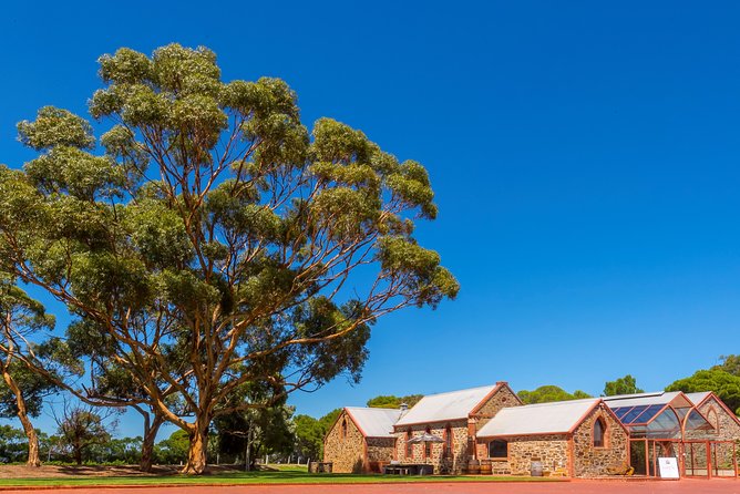 McLaren Vale and Glenelg Wine Tasting and Sightseeing (Half-day Afternoon) - Chapel Hill Winery: a handsome first tasting
