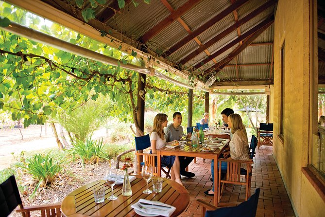 McLaren Vale North Hop-On Hop-Off Wine Tour - Who should book this experience