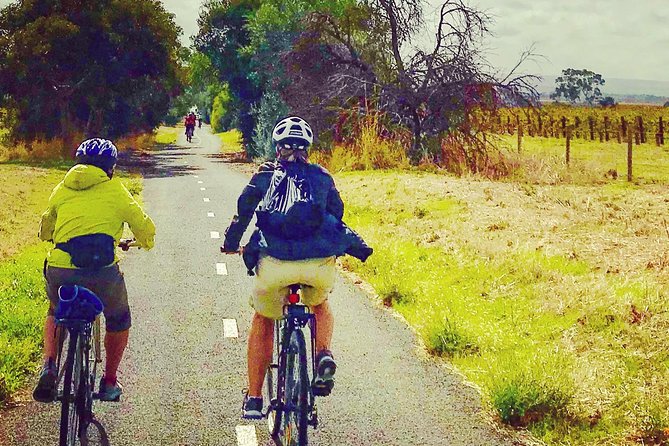 McLaren Vale Shiraz Trail Cycling Tour from Adelaide - Why this McLaren Vale day works so well