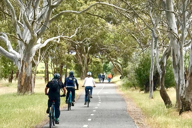 McLaren Vale Shiraz Trail Cycling Tour from Adelaide - Wirra Wirra Vineyards and the tasting hour