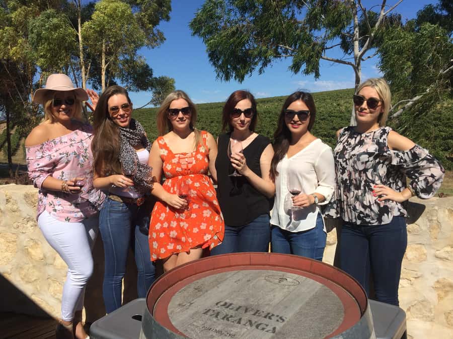 McLaren Vale: Small Group Wine Tour (Includes Lunch) - What the Winery Visits Feel Like