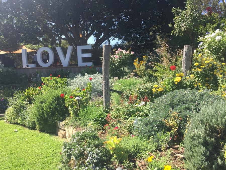 McLaren Vale: Small Group Wine Tour (Includes Lunch) - Afternoon Options: More Wine, Gin, or a Brewery