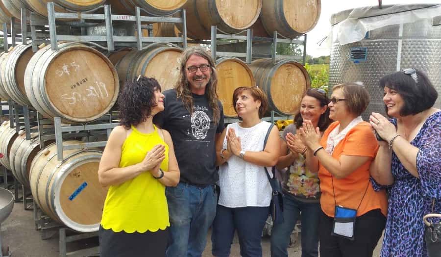 McLaren Vale: Small Group Wine Tour (Includes Lunch) - The Price: Good Value, With One Important Extra