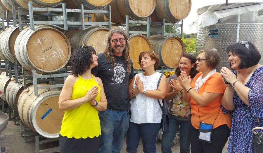 McLaren Vale: Small Group Wine Tour (Includes Lunch) - Who Should Book This Tour?