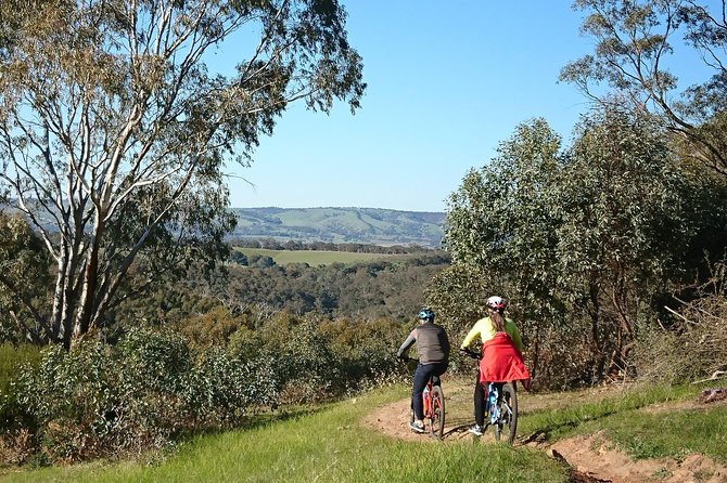 McLaren Vale Wine Tour by Bike - Two winery stops with a local focus