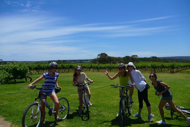 McLaren Vale Wine Tour by Bike - Choosing the final stop: wine or a microbrewery