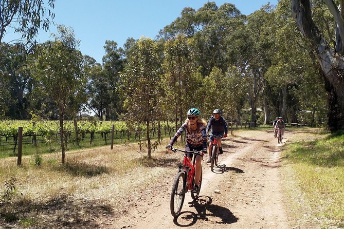 McLaren Vale Wine Tour by Bike - How hard is the cycling?