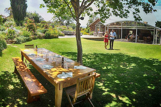 McLaren Vale Winery Small Group Tour with Wine Tasting and Lunch - Key points at a glance