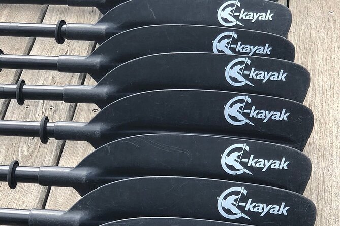 Melbourne City Sights Kayak Tour - Under Princes Bridge and the city’s historic crossings
