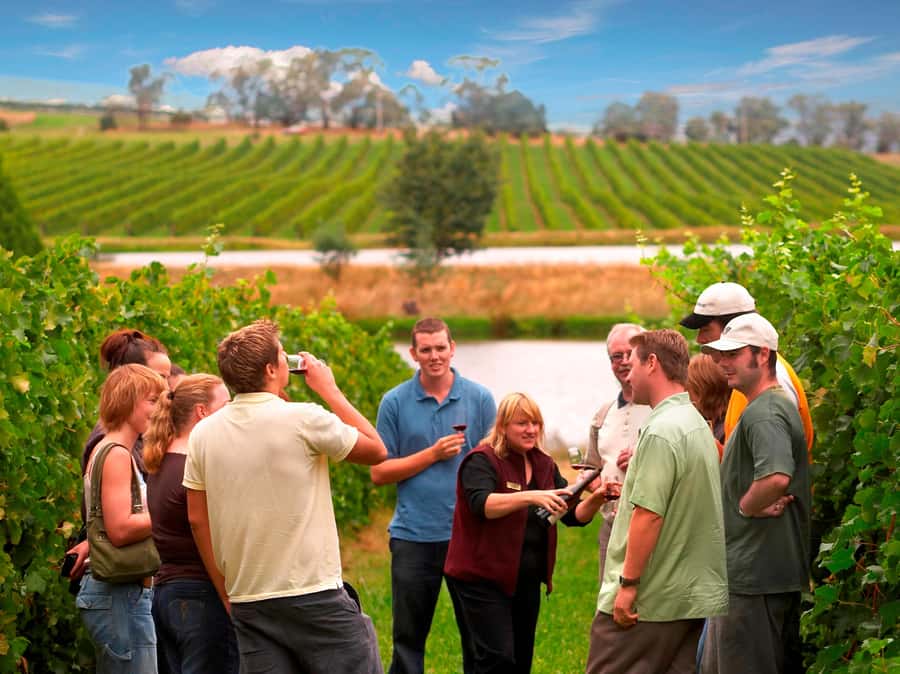Melbourne: Full-Day Yarra Valley Wine Experience with Lunch - Greenstone: learning the basic tasting rhythm