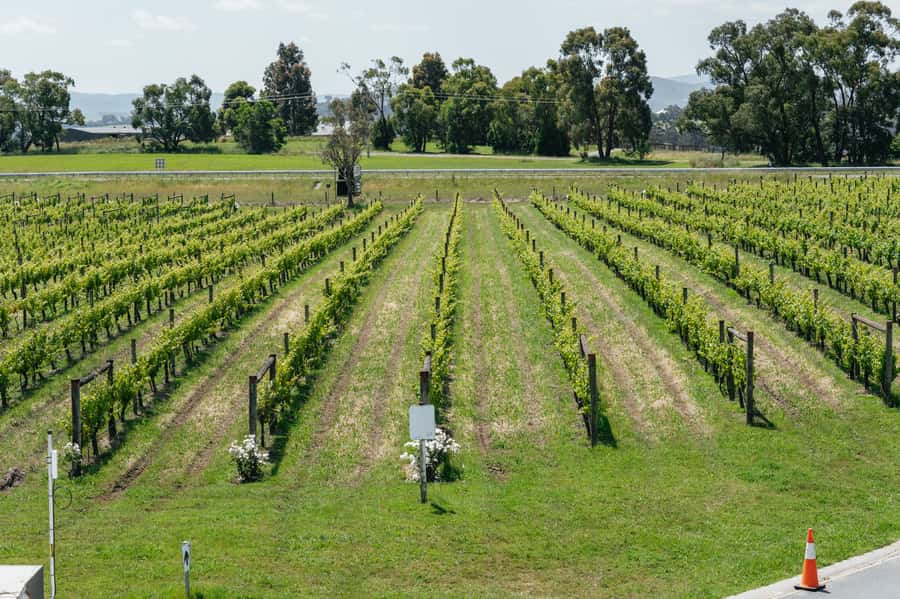 Melbourne: Full-Day Yarra Valley Wine Experience with Lunch - Yering Farm: a smaller winery with old tools
