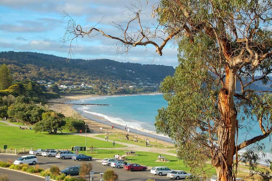 Melbourne: Great Ocean Road & Iconic Coastal Views Day Tour - Why the morning direction matters on the Great Ocean Road