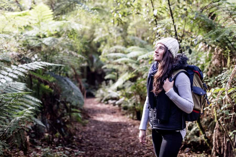 Melbourne: Great Ocean Road Ultimate 12 Apostles with Lunch - Lavers Hill and Great Otway National Park