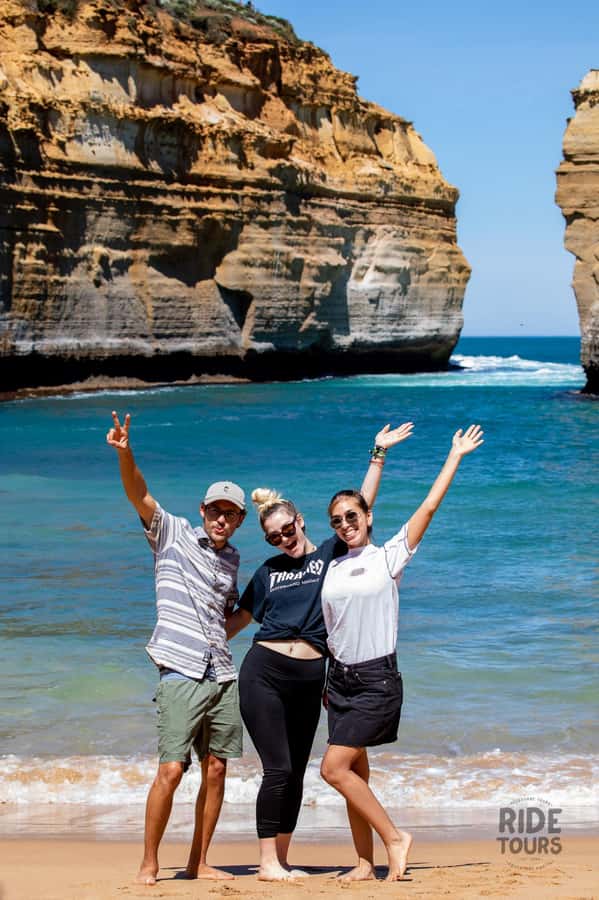 Melbourne: Great Ocean Road & Wildlife Tour for Backpackers - Koalas in the Otway National Park