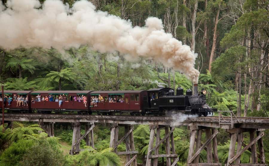 Melbourne: Half-Day Puffing Billy Steam Train Experience - The one-hour Puffing Billy ride