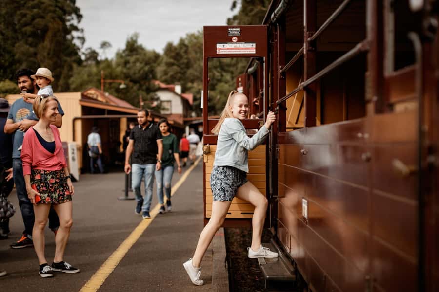 Melbourne: Half-Day Puffing Billy Steam Train Experience - Who should book this half-day trip?