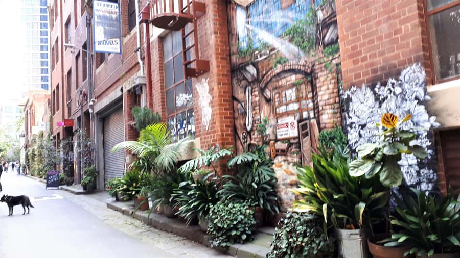 Melbourne Laneways Tour - Cafés, Galleries, Shops, and Small Discoveries