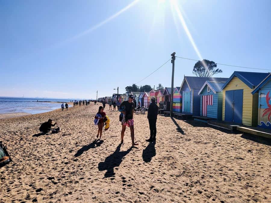 Melbourne: Moonlit Sanctuary and Brighton Beach Boxes Tour - The Early Pickup From Central Melbourne