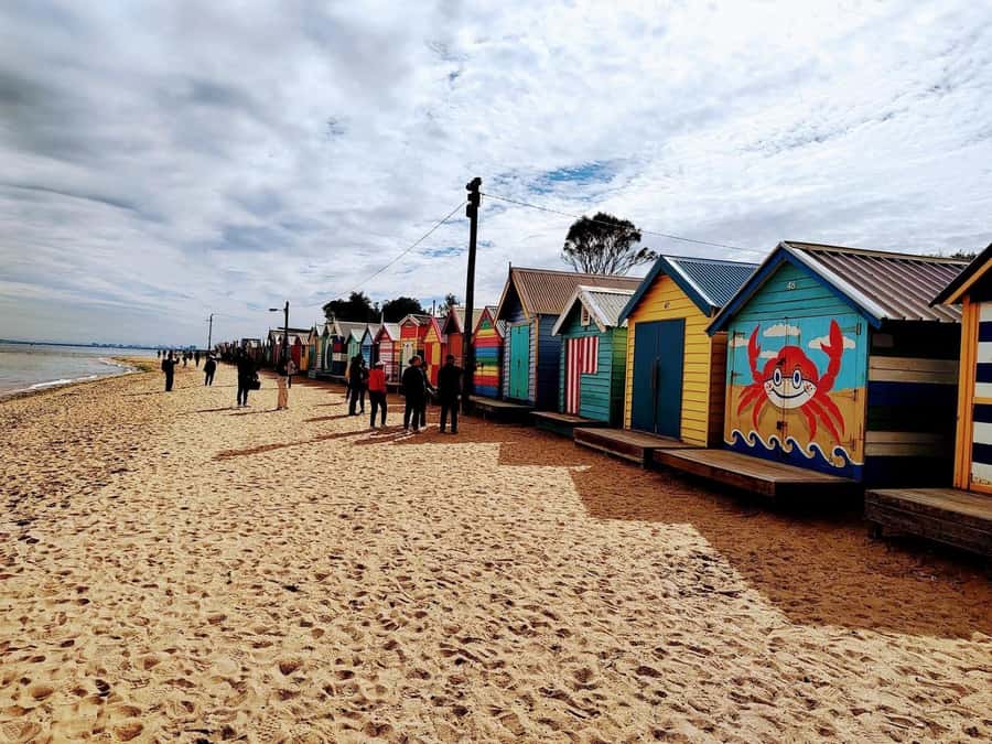 Melbourne: Moonlit Sanctuary and Brighton Beach Boxes Tour - Two Hours Among Australian Animals
