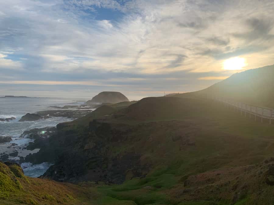 Melbourne: Phillip Island Tour & Penguin Parade - Five things to know before you book
