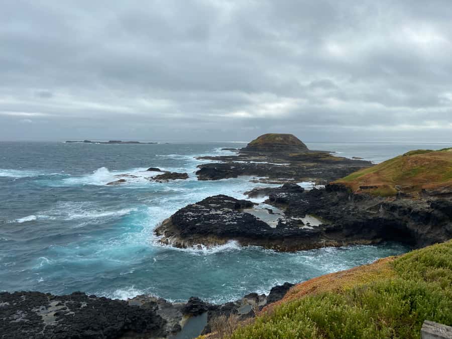 Melbourne: Phillip Island Tour & Penguin Parade - Waiting for the little penguins