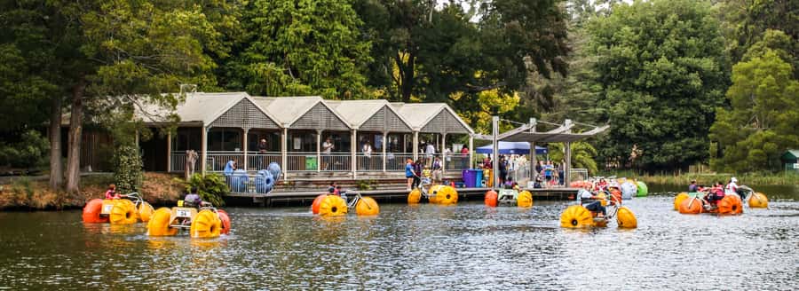 Melbourne: Puffing Billy & Healesville Sanctuary Scenic Tour - Who should book this tour?