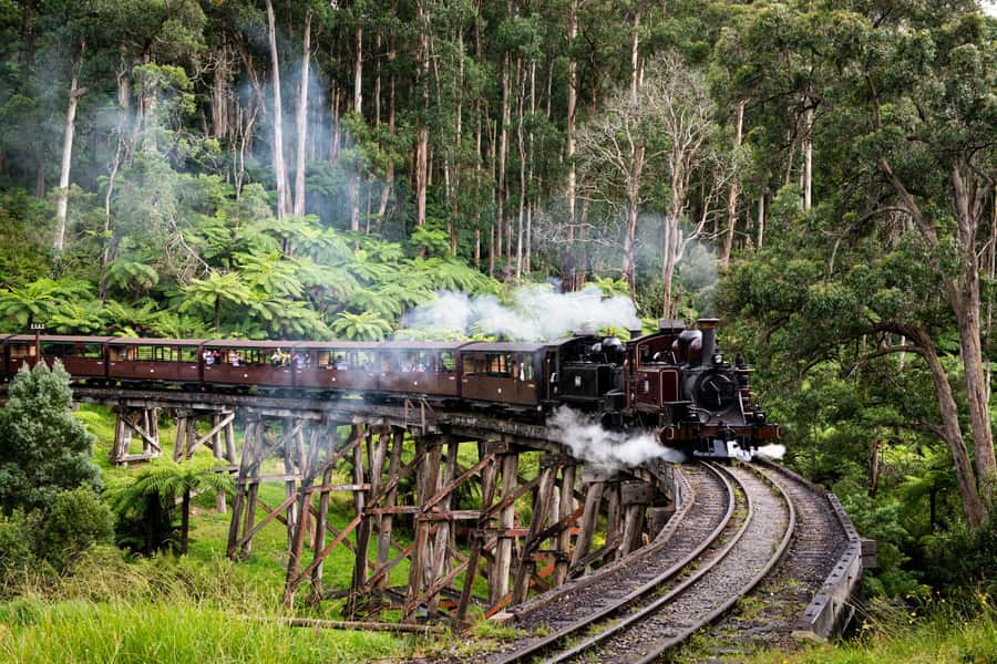 Melbourne: Puffing Billy Penguin Parade Brighton Boxes Tour - Riding the Puffing Billy heritage railway