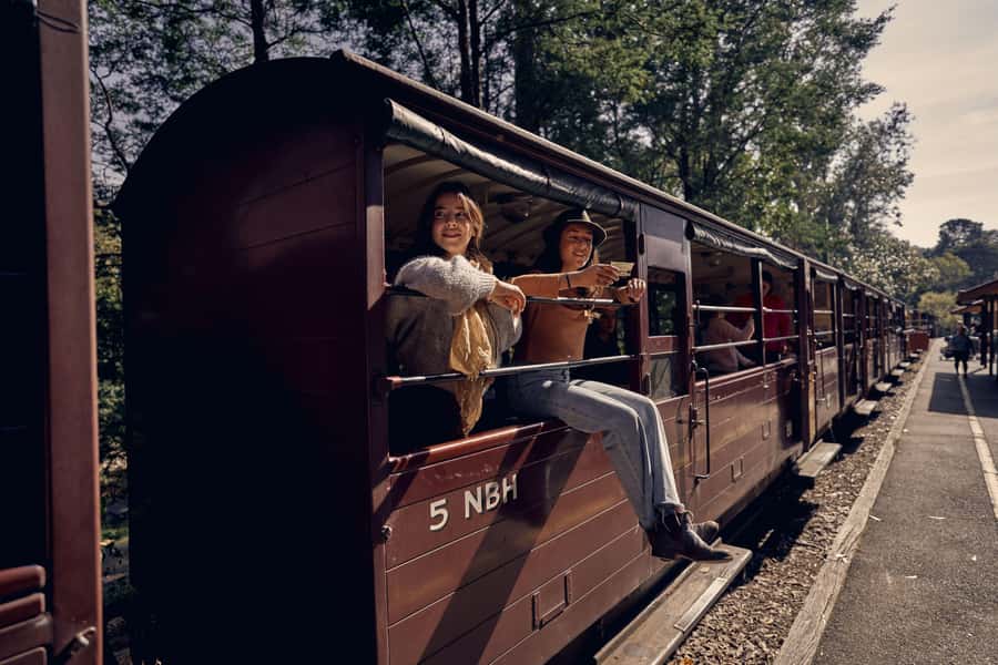 Melbourne: Puffing Billy Railway & Penguin Parade Day Tour - Puffing Billy: a joyful ride through the hills