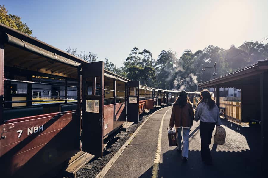 Melbourne: Puffing Billy Railway & Rainforest Tour - A half-day escape from Melbourne