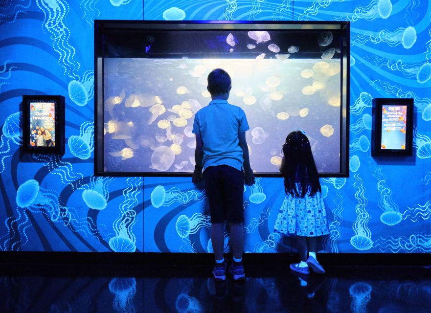 Melbourne: SEA LIFE Aquarium Entrance Ticket - Oceanarium activities and family extras