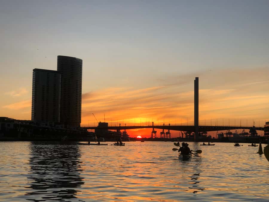 Melbourne: Sunset Kayak Tour with Dinner - Is $84 good value?