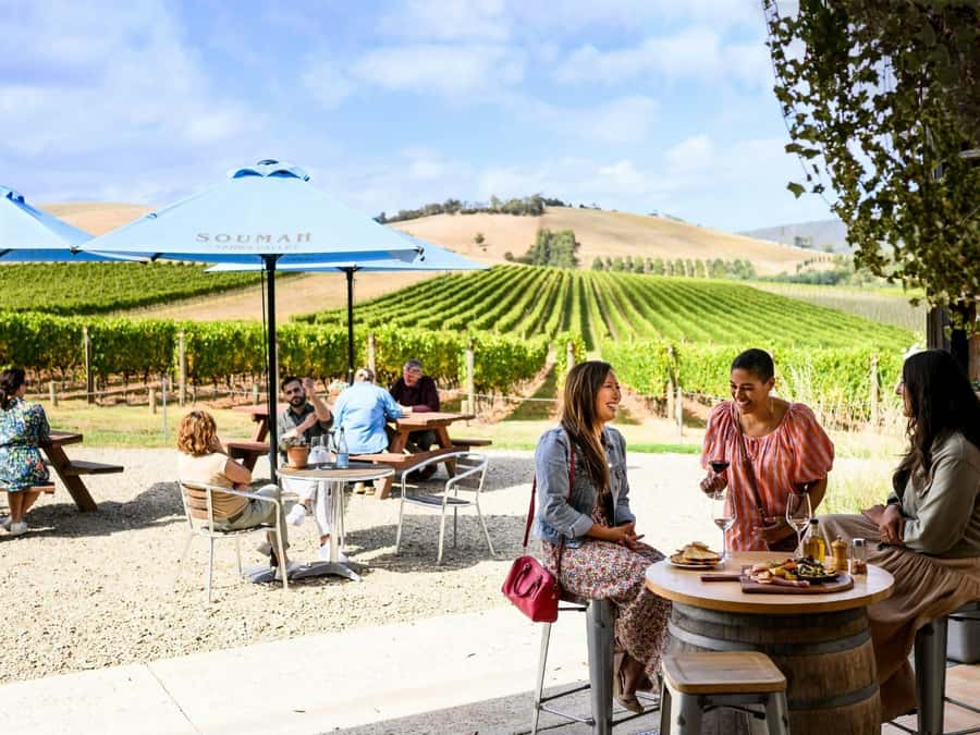 Melbourne: Yarra Valley Half-Day Wine Tour - Helen & Joey Estate: views first, wine second