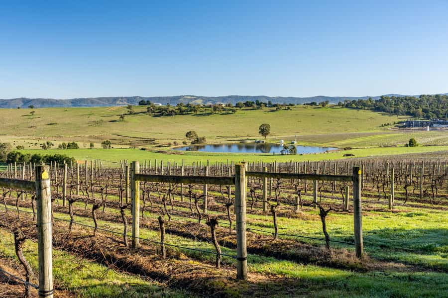Melbourne: Yarra Valley Wine, Cider, Gin, Beer, & Choc Tour - Six things to know before you book