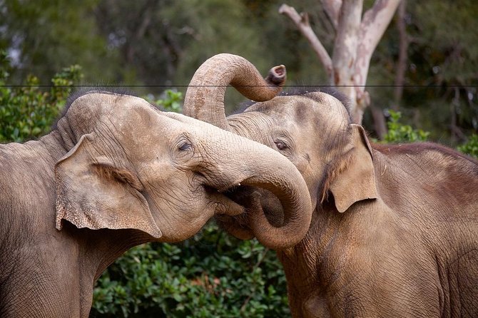 Melbourne Zoo General Entry Ticket - Keeper talks add value to the admission price