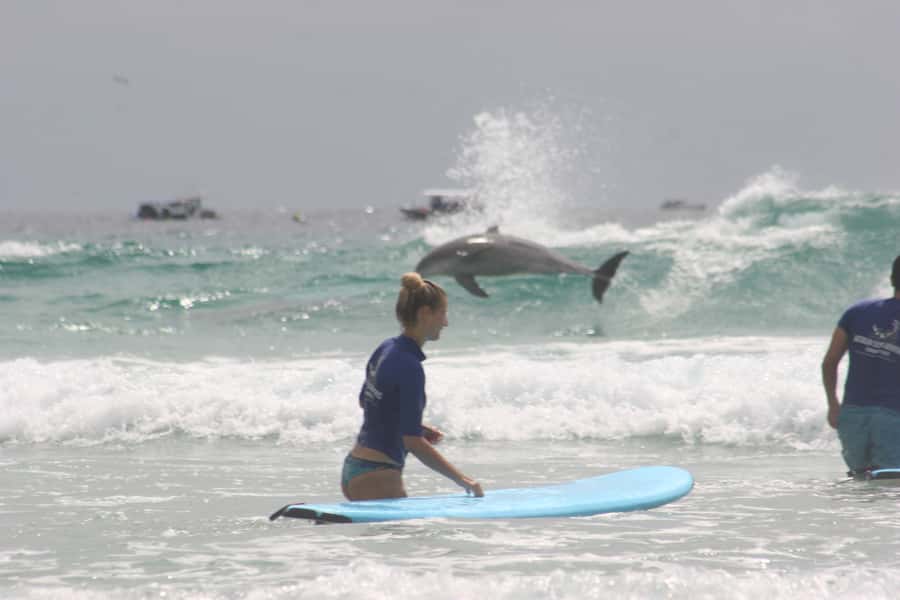 Miami: Group Surf Lesson - Key points to know before booking