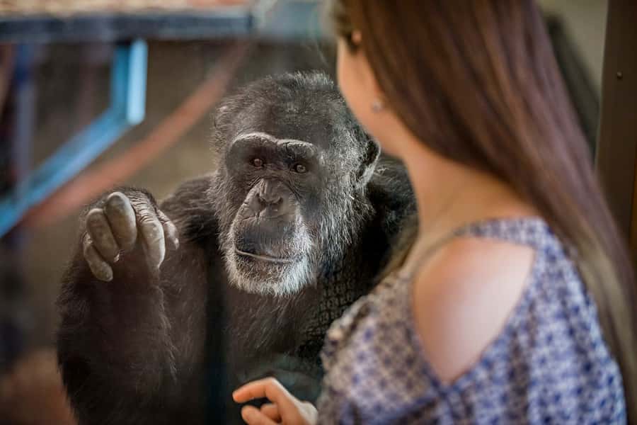 Monarto Safari Park: General Admission Tickets - Key points to know before you go