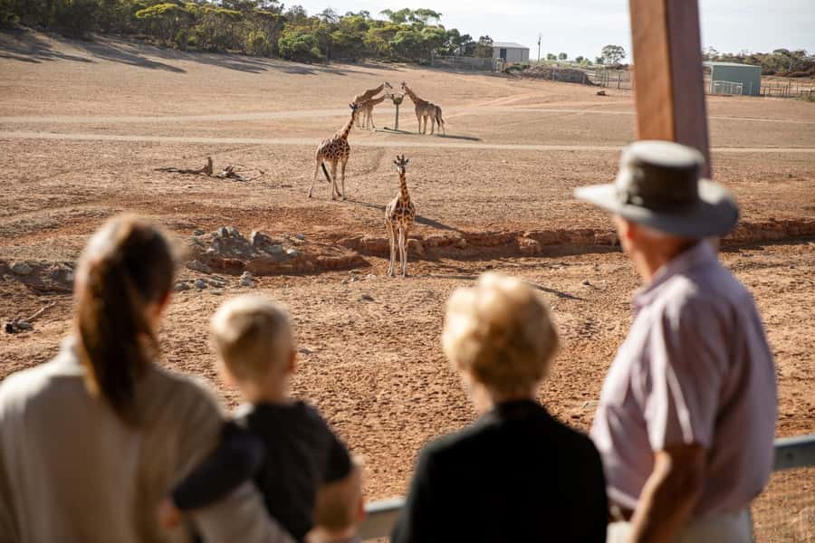 Monarto Safari Park: General Admission Tickets - What the $38 ticket actually gives you