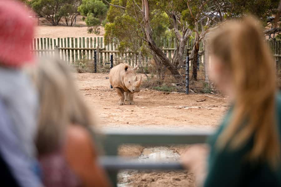 Monarto Safari Park: General Admission Tickets - The open plains and African animals