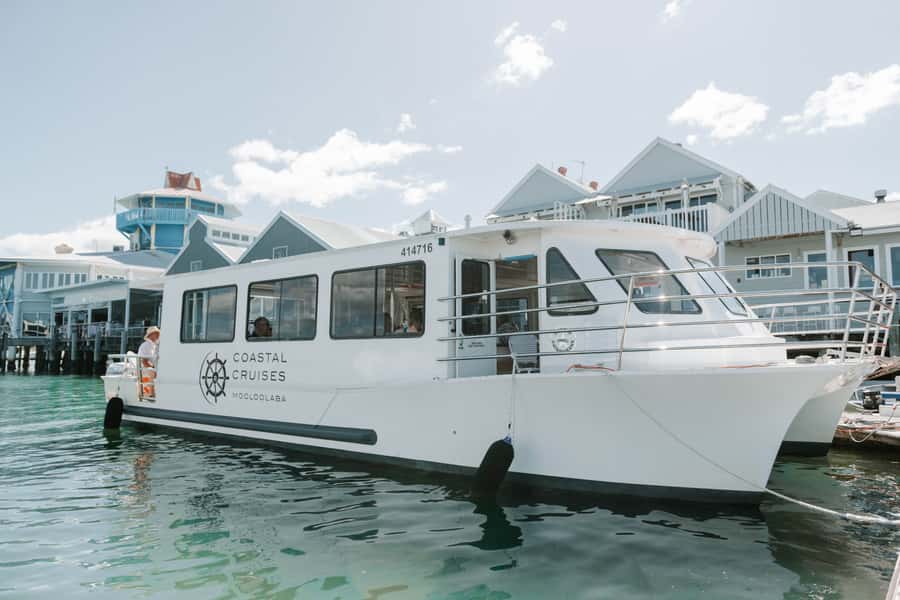 Mooloolaba: Seafood Lunch Cruise - What This Mooloolaba Cruise Is Really Like